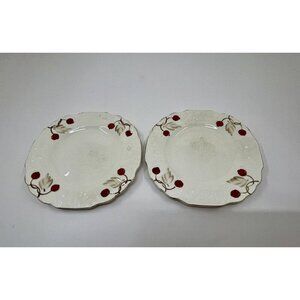 Myott Cherry Ripe Bone China Salad Side Plates x2 English Floral Vintage